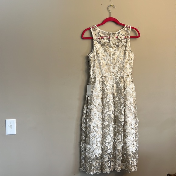 Adrianna Papell Floral Embroidered Crew Neck Fit and Flare Dress - Picture 11 of 17